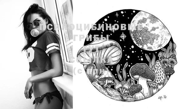 скорость Саяногорск