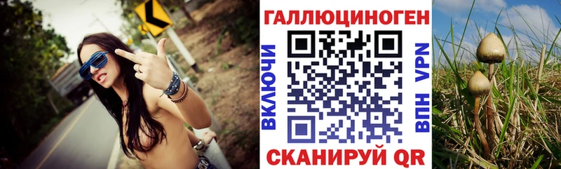 Псилоцибиновые грибы ЛСД  Купить  Шадринск 